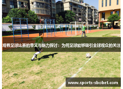 观看足球比赛的意义与魅力探讨：为何足球能够吸引全球观众的关注