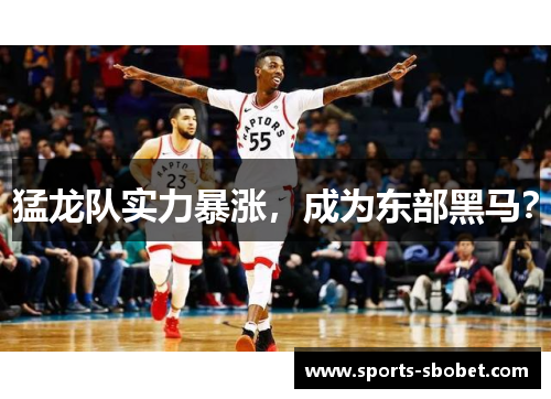 猛龙队实力暴涨，成为东部黑马？